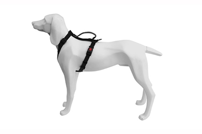 Picture of FREEDOG HARNESS EXTREME